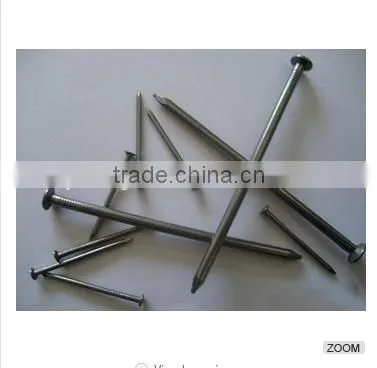 Galvanized Roofing Nails With Umbreall Head photo-4