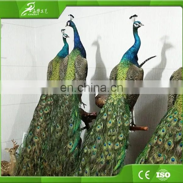 Park Equipment Prehistoric Life--Size Animal Model For Sale photo-4