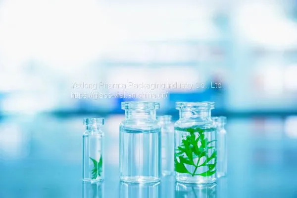 Pharmaceutical Vial Bottle