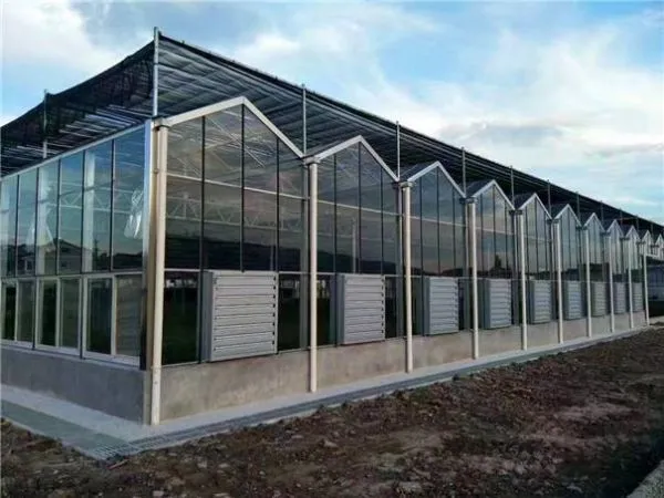 Small Industrial Wall Mounted Ventilation Exhaust Fan for Poultry Farm and Greenhouse