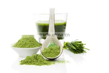 Fine Quality Wheat Grass Powder For OEM photo-2