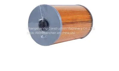 60206779 Fuel Filter P550042 W