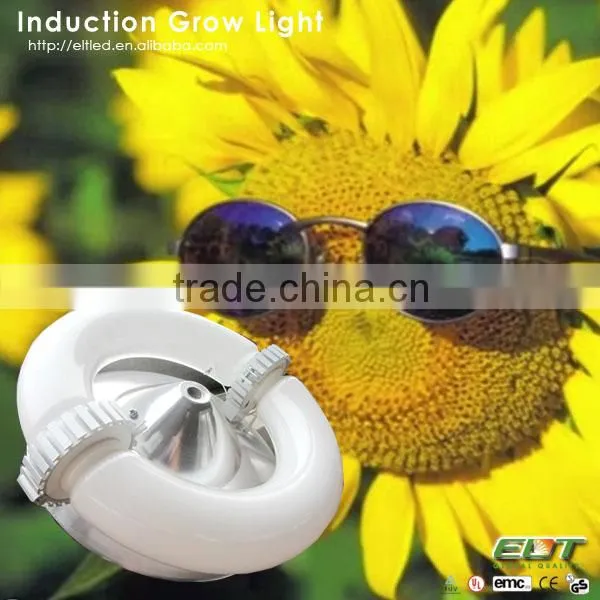 Indoor Garden Grow Light Item Type High Power Induction Plant t5 Grow Light