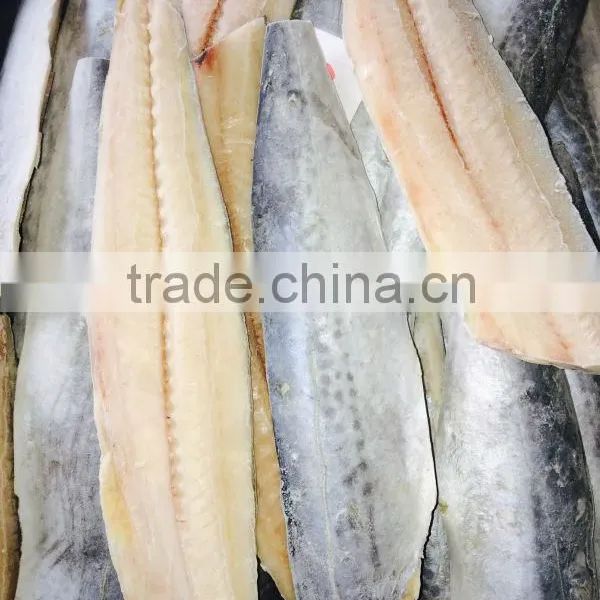 Frozen Spanish Mackerel Fillets photo-4
