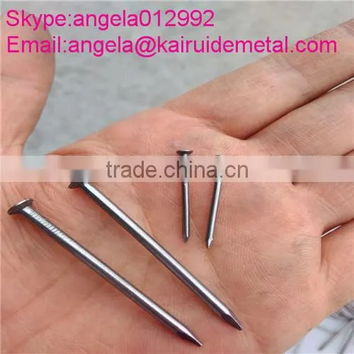 Common Wire Nail Common Iron Nail photo-2