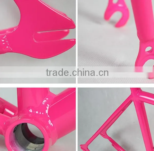 Luminous Paint Bicycle Frame and Fork photo-4