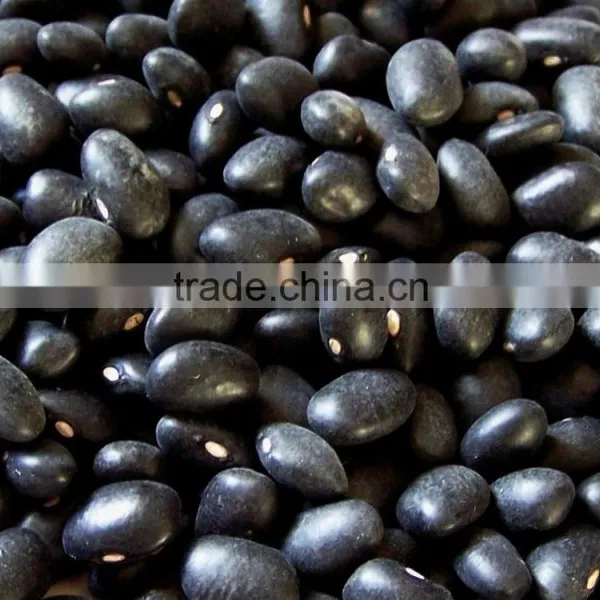 Black Beans New Crop photo-2