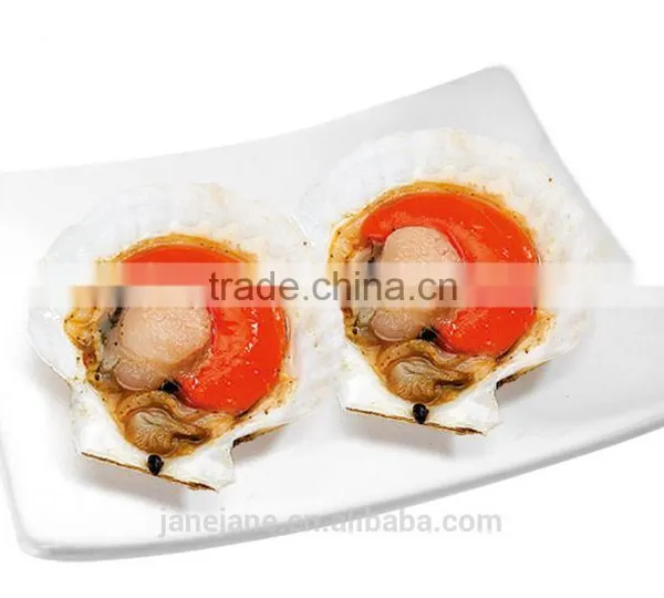 Frozen Scallop photo-2