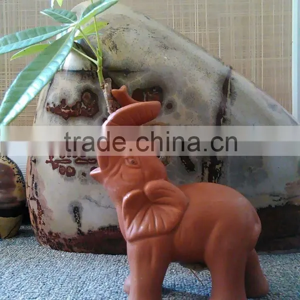 Elephant Pachira Ornamental Plants photo-2