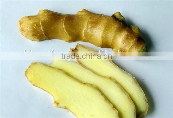 2015 New Crop of Fresh Ginger , Professional Suppliers photo-2