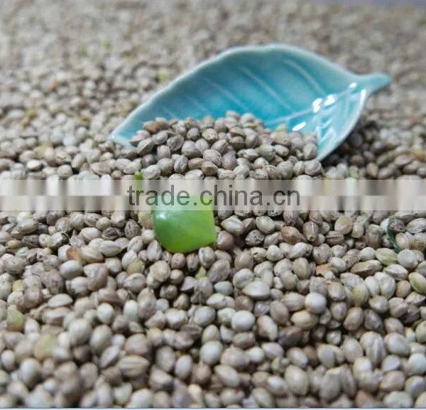 Hemp Seeds With High Quality 2016 Crop photo-4