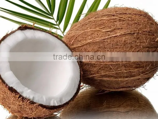 TROPICAL SEMI HUSKED COCONUT