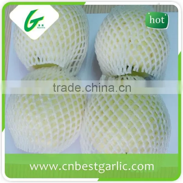 9kg 18kg Bulk Fresh Crown Pear photo-3