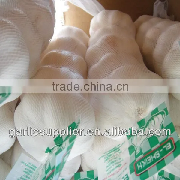 PURE WHITE GARLIC NEW CROP photo-6
