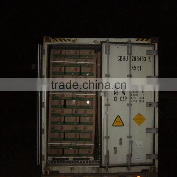 Fresh Apple Fruit Wholesale Distributors photo-5