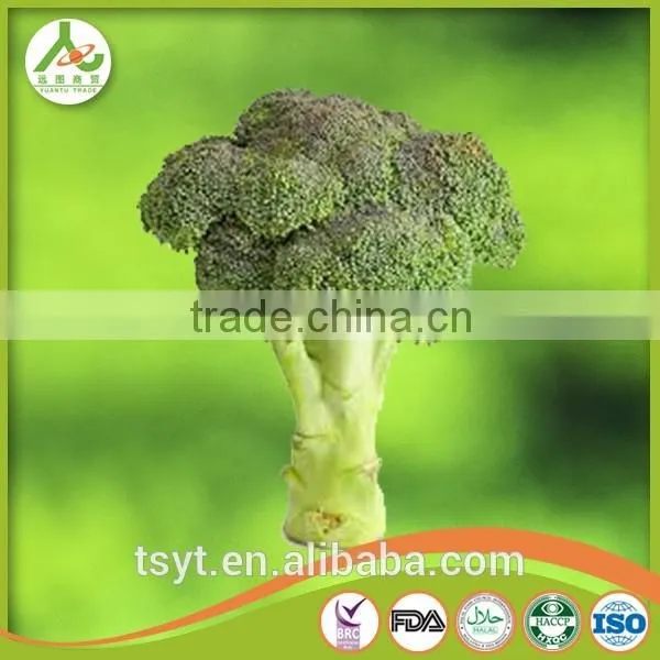 Broccoli Fresh Broccoli Hot Sale Fresh Green Broccoli photo-3