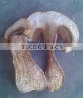 Grade A Dry Boletus Edulis Slice Dry Wild Mushroom photo-2