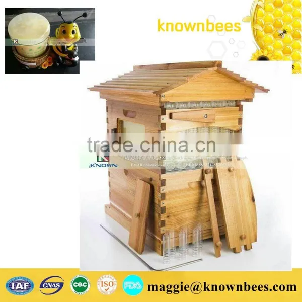 High Quality Beehive Langstroth Beehive ,Fir or Pine Wood Beehive