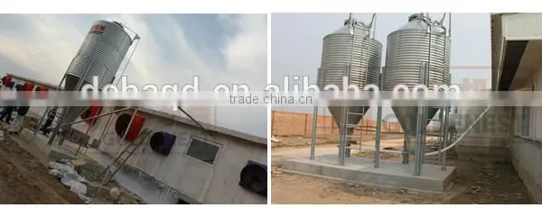 Mother Pig Stall Low Price Pig Birthing Stall