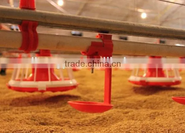 Poultry Automatic Chicken Drinking and Feeding System