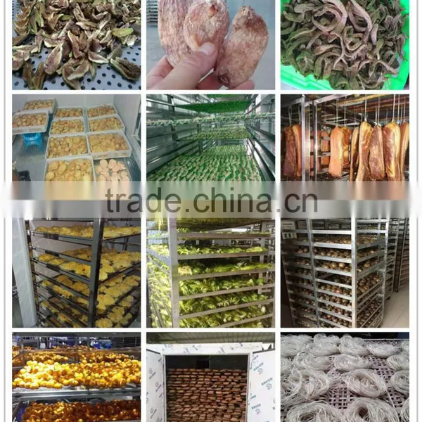 Moringa Leaf Drying Machine/tea Leaf Dryer Machine/herb Drying Machine photo-3