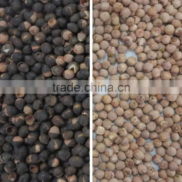Automatic Ccd Color Sorter for Cashew Nut/apricot Kernels/walnut photo-2