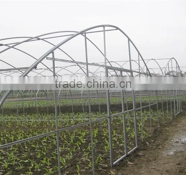 Mini Greenhouse Indoor Decorative photo-4