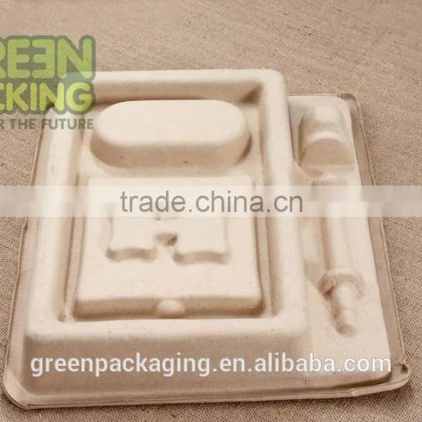 Biodegradable Electronic Products Packages From Bagasse photo-3