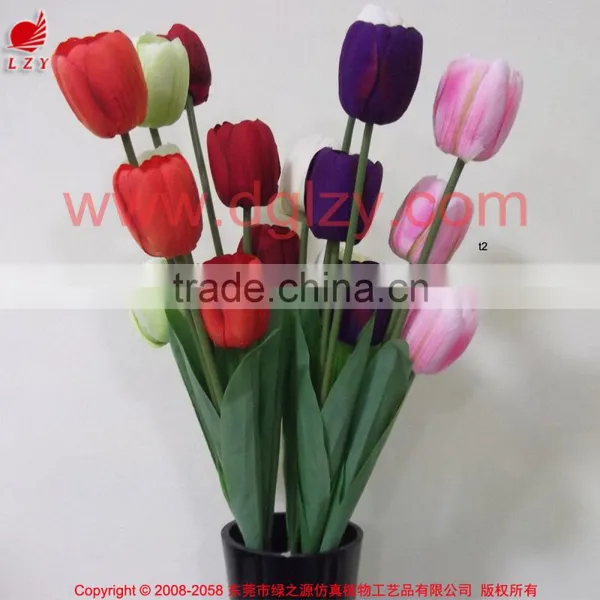 Colorful Wholesale Cheap Tulip Flower for Decoration photo-3
