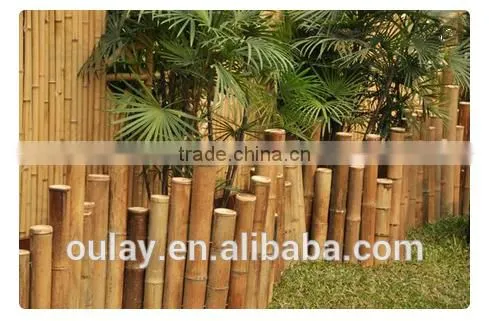 Low Bamboo Border & Edging Fence photo-4