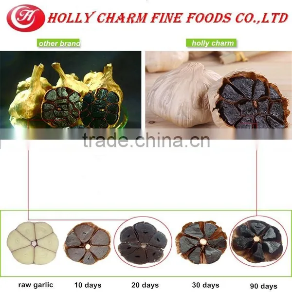 Healthy and Safe Product Black Garlic Expoeters in China photo-2