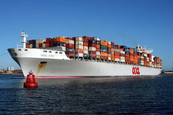 Ocean Freight Forwarder Air Shipment Railway Logistics Sea Freight From China to Azerbaijan/Turkey/Georgia photo-4