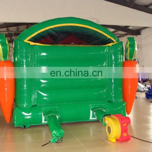 Fruit & Vegetable Inflatable Bouncer for Sale photo-2