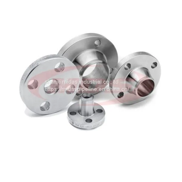 Made in China Stainless Steel Pipe Flange photo-2
