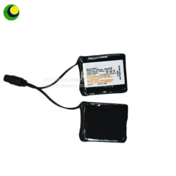 3.7v 4400mah Hot Selling Battery Back for VEST LINER With Charger in China photo-4
