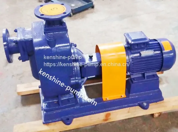 CZW Diesel Engine Driving Self-priming Sewage Pump photo-5