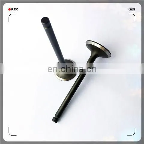 Oem 4A13-1007011 4A13-1007017 Engine Valve for 4A15 photo-3