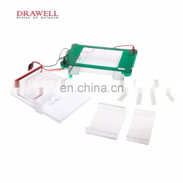 SPGT Universal Horizontal Electrophoresis System photo-2