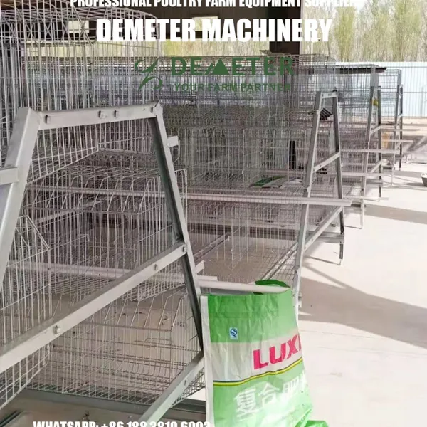 Best Chicken Cage photo-5