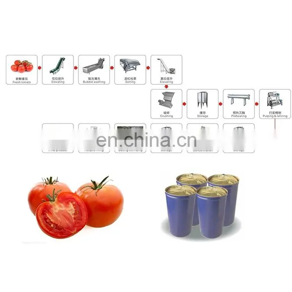 Tomato Paste Production Line Hot Sale photo-4