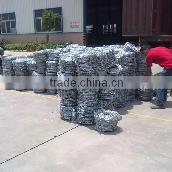 Barbed Wire/High Quality Galvanized Barbed Wire/PVC Coated Barbed Wire photo-6