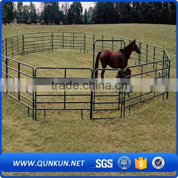 China Cheap Cattle Panels for Sale / Galvanized Cattle Fencing / Live Cattle Prices photo-2