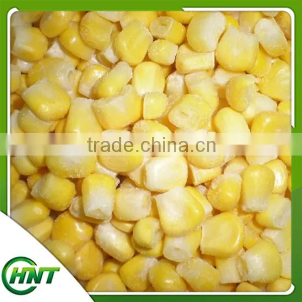 Frozen Sweet Corn Kernels/sweet Corn photo-6