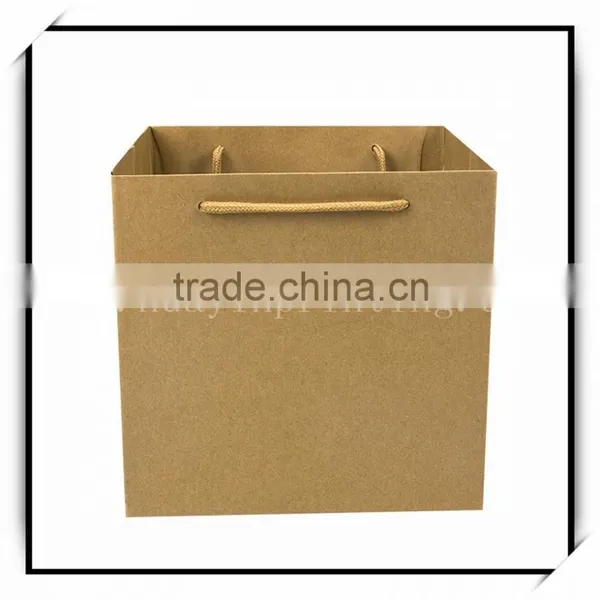 Custom Luxury Paper Shopping Bag/ Wine Bag photo-4