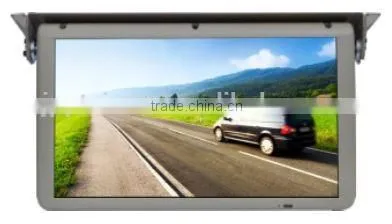 Roof Mount Monitor
