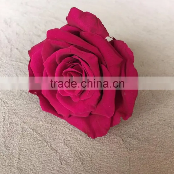 Wholesale Real Natural Preserved Roses Everasting Roses Preserve Flower photo-2
