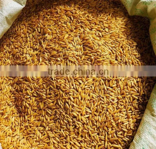 Oats