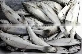 Fish Meal Hight Protein photo-2