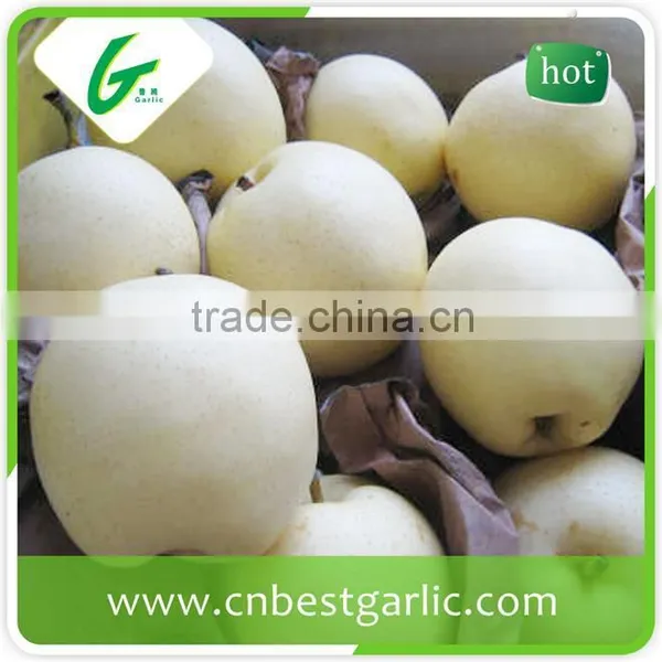 Chinese Crystal Bulk Fresh Crown Pear photo-5