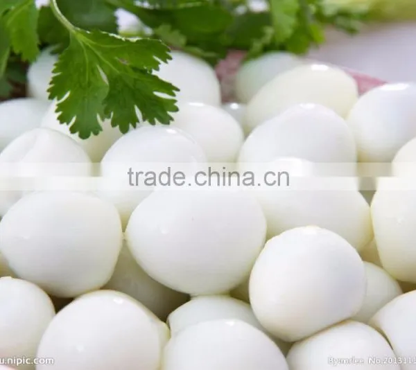 FT-206 Large Capacity Quail Egg Shelling Breaking Peeling Machine photo-6